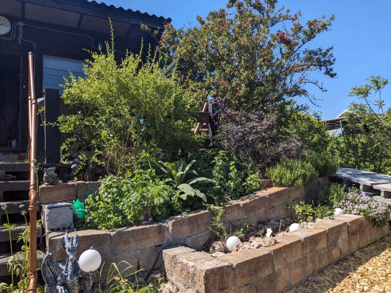 Garten 54